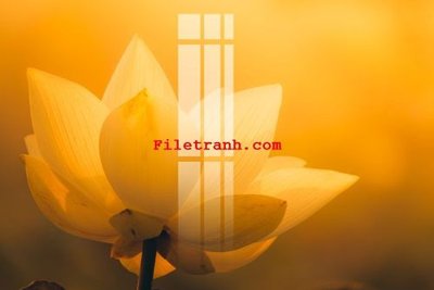 File PSD File gốc in tranh nền tường tổng hợp K62712 (gốc) cho in quảng cáo