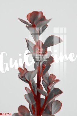 File tranh File gốc in tranh tổng hợp K6276 (ảnh gốc) độ nét vượt trội