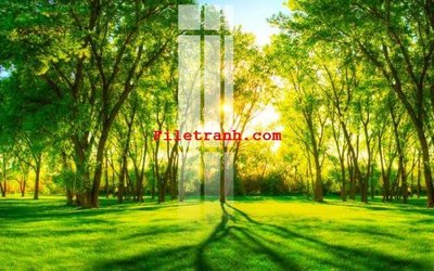 Tải file File gốc in tranh nền tường tổng hợp K62812 (gốc) làm file quảng cáo