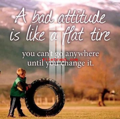 File in ấn File gốc in tranh nền tường tổng hợp K62815 (bản gốc) cao cấp