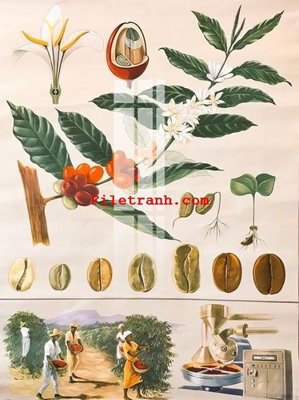 File gốc in ấn File gốc in tranh nền tường tổng hợp K62817 chất lượng vượt trội