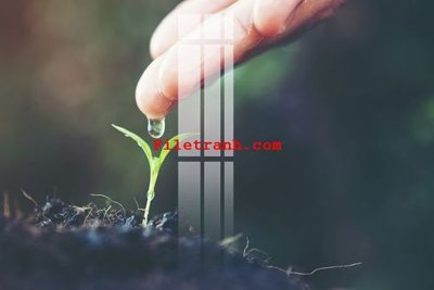 File gốc File gốc in tranh nền tường tổng hợp K63214 (in mica) trang trí