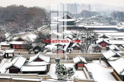 File gốc File gốc in tranh nền tường tổng hợp K63336 (in lụa) tranh mã đáo