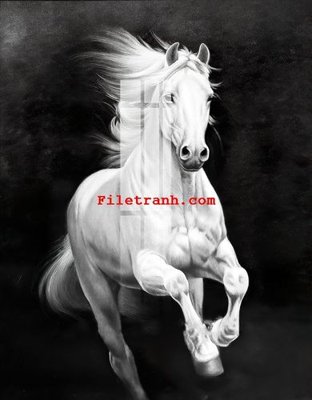 File PSD File gốc in tranh nền tường tổng hợp K63386 (bản gốc) chất lượng nhất