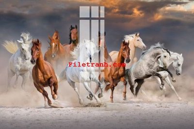 File tranh in mica File gốc in tranh nền tường tổng hợp K63394 (độ phân giải cao)