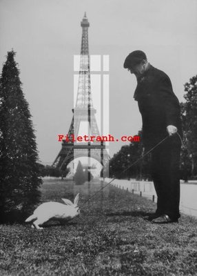 Hình ảnh file gốc in trần nhà File gốc in tranh nền tường tổng hợp K63504