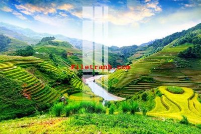 File in trần File gốc in tranh nền tường tổng hợp K63536 (file gốc) hoa văn 3D