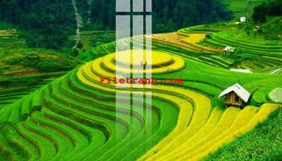 Hình ảnh file gốc File gốc in tranh nền tường tổng hợp K63568 (chất lượng cao)