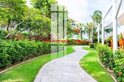 File tranh File gốc in tranh nền tường tổng hợp K63596 (gốc) in vải canvas