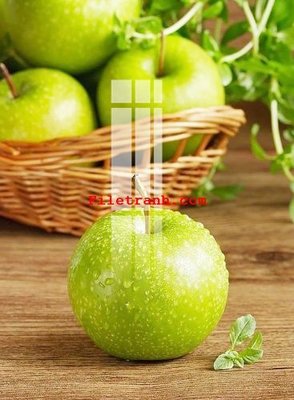 File tranh in trần 3D File gốc in tranh nền tường tổng hợp K63617 (ảnh gốc)