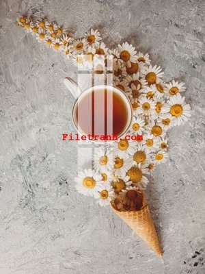 File in trần File gốc in tranh nền tường tổng hợp K63621 (bản gốc) phong cảnh