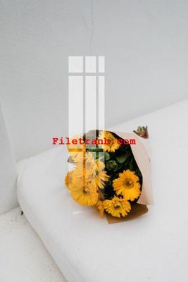 File gốc File gốc in tranh nền tường tổng hợp K63628 (PNG) trong suốt (transparent)