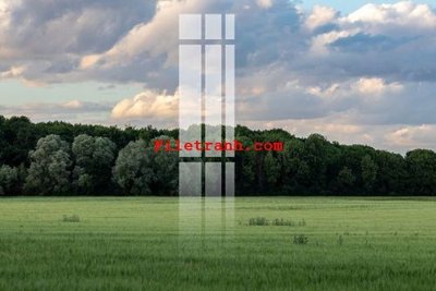 File in ấn File gốc in tranh nền tường tổng hợp K63768 (bản gốc) chất lượng cao