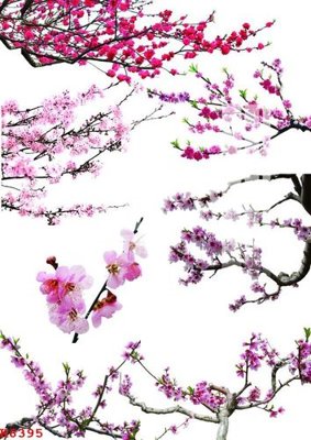 Tải file File gốc in tranh tổng hợp K6395 (gốc) chủ đề tâm linh