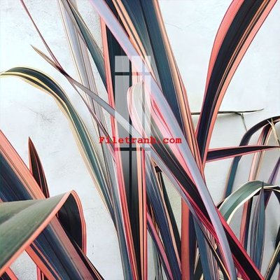 File gốc File gốc in tranh nền tường tổng hợp K64125 (in tráng gương) nghệ thuật