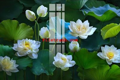 Tải file File gốc in tranh nền tường tổng hợp K64130 (ảnh gốc) file TIFF