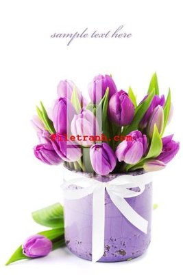 Download file gốc File gốc in tranh nền tường tổng hợp K64343 (độ nét cao)