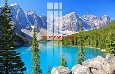 File gốc File gốc in tranh nền tường tổng hợp K64354 (ảnh chi tiết) để in trần