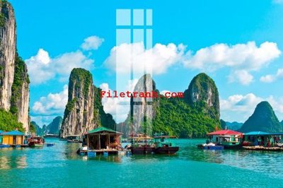 File in ấn cao cấp File gốc in tranh nền tường tổng hợp K64356 (file gốc)