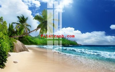 File gốc File gốc in tranh nền tường tổng hợp K64357 (dành cho trang trí nội thất)