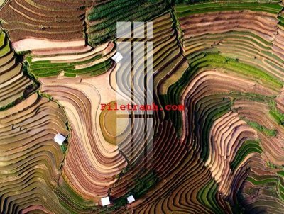 File tranh gốc File gốc in tranh nền tường tổng hợp K64397 (bản quyền) Filetranh.com