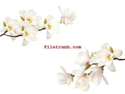 File in ấn cao cấp File gốc in tranh nền tường tổng hợp K64423 (file gốc)