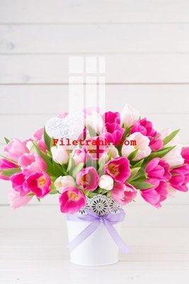 File tranh File gốc in tranh nền tường tổng hợp K64437 (ảnh gốc) độc quyền