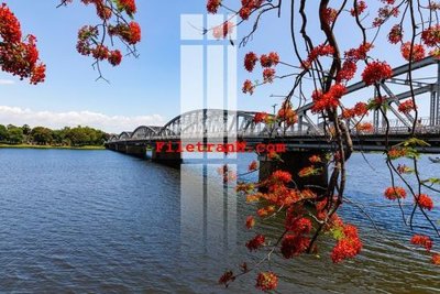 File tranh File gốc in tranh nền tường tổng hợp K64462 (ảnh gốc) sắc nét hoàn hảo