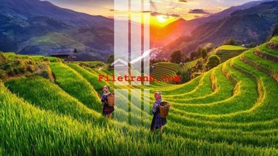 File in ấn File gốc in tranh nền tường tổng hợp K64519 (bản gốc) cao cấp