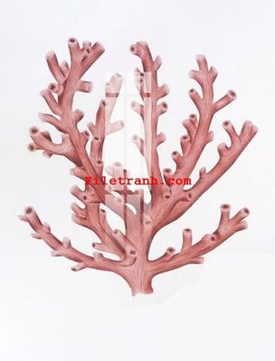 Hình ảnh file gốc in lụa File gốc in tranh nền tường tổng hợp K64664