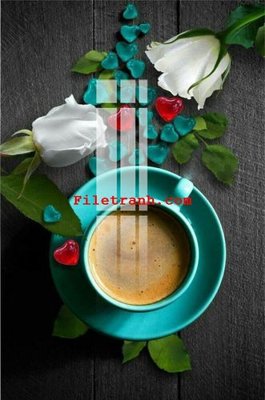 File gốc File gốc in tranh nền tường tổng hợp K64805 (cho in ấn) từ Filetranh.com