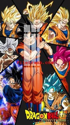 File tranh File gốc in tranh nền tường tổng hợp K65059 (ảnh gốc) sắc nét hoàn hảo