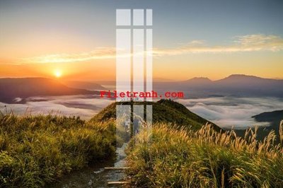 Tải file gốc File gốc in tranh nền tường tổng hợp K65076 (in tráng gương) cao cấpFile gốc File gốc in tranh nền tường tổng hợp K65076 (in ấn) phiên bản độc quyền