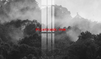 File gốc in tráng gương File gốc in tranh nền tường tổng hợp K65081 chi tiết