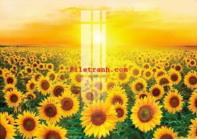 File gốc File gốc in tranh nền tường tổng hợp K65097 (vector) cho in ấn