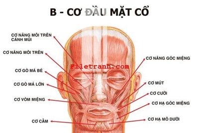 Download file ảnh gốc File gốc in tranh nền tường tổng hợp K65605 để in ấn