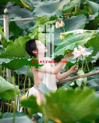 File in trần File gốc in tranh nền tường tổng hợp K65952 (bản gốc) đại dương