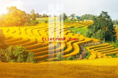 File ảnh File gốc in tranh nền tường tổng hợp K65996 (gốc) trang trí khách sạn