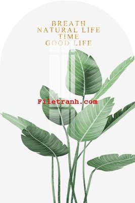 File ảnh File gốc in tranh nền tường tổng hợp K66219 (gốc) in poster