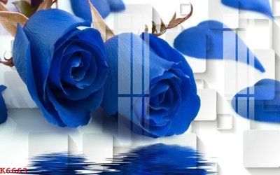 File gốc File gốc in tranh tổng hợp K6663 (in lụa) tranh thuận buồm