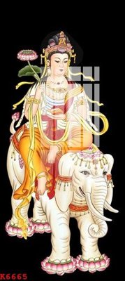 File in trần File gốc in tranh tổng hợp K6665 (file gốc) xuyên sáng