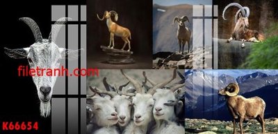 Tải file File gốc in tranh nền tường tổng hợp K66654 (gốc) in tranh tráng gương