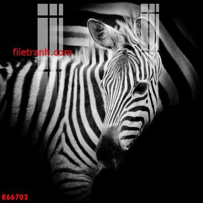 Tải file tranh File gốc in tranh nền tường tổng hợp K66703 (gốc) tại Filetranh.com