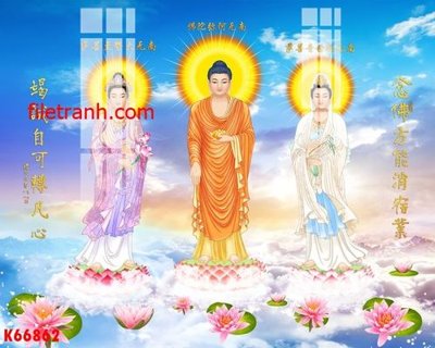 File gốc File gốc in tranh nền tường tổng hợp K66862 (cho in ấn) từ Filetranh.com