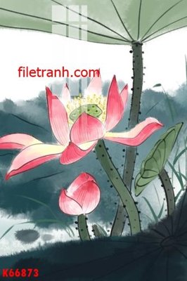 File tranh File gốc in tranh nền tường tổng hợp K66873 (ảnh gốc) sắc nét hoàn hảo