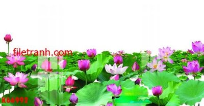 File in lụa File gốc in tranh nền tường tổng hợp K66992 (chất lượng cao) File gốc in tranh nền tường tổng hợp K66992