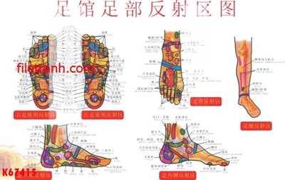 File tranh File gốc in tranh nền tường tổng hợp K67415 (bản gốc) in lụa dán tường