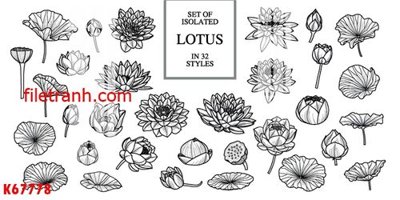 File gốc File gốc in tranh nền tường tổng hợp K67778 (PNG) không nền chất lượng