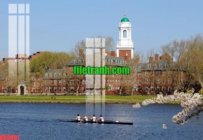 File gốc File gốc in tranh nền tường tổng hợp K69001 (in ấn) màu sắc trung thực