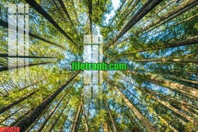 File gốc File gốc in tranh nền tường tổng hợp K69028 (vector) cho in ấn